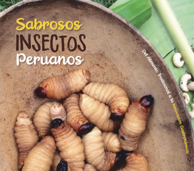 Sabrosos insectos peruanos